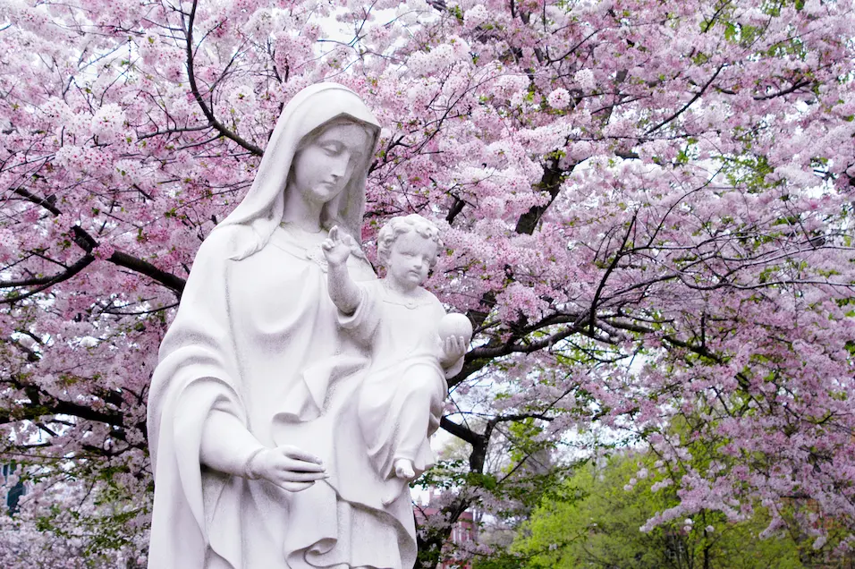 catholic prayer for peace in the world — our lady, queen of peace